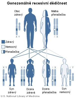 X-linked recessive inheritance