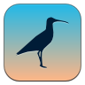 Moka2096-curlew.png