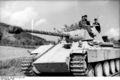 Bundesarchiv Bild 101I-476-2051-30A, Italien, Panzer V (Panther).jpg