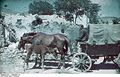 Bundesarchiv N 1603 Bild-103, Russland, Krim, Soldat mit Pferdewagen vor Hausruine.jpg