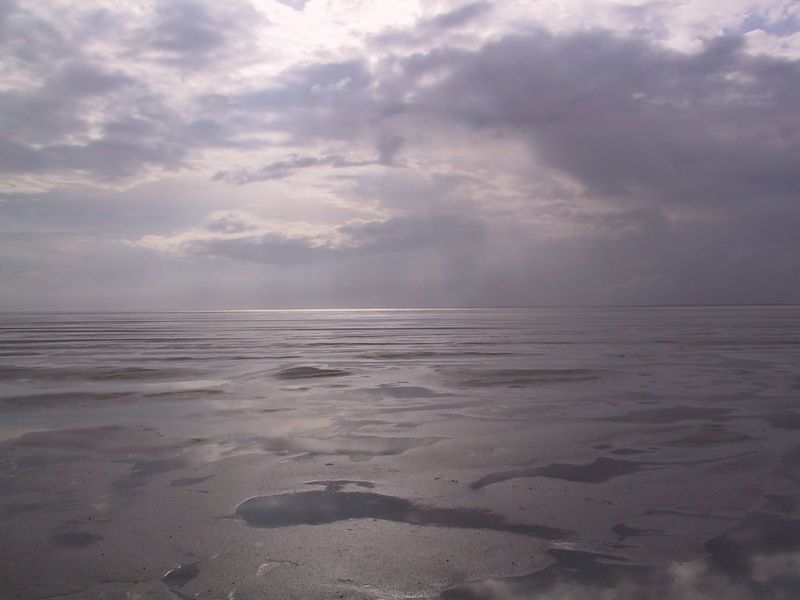 Soubor:Waddenzee zon.jpg