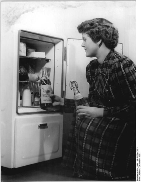 Soubor:Bundesarchiv Bild 183-50094-0003, Rudisleben, VEB Chema, Kühlschrankproduktion.jpg