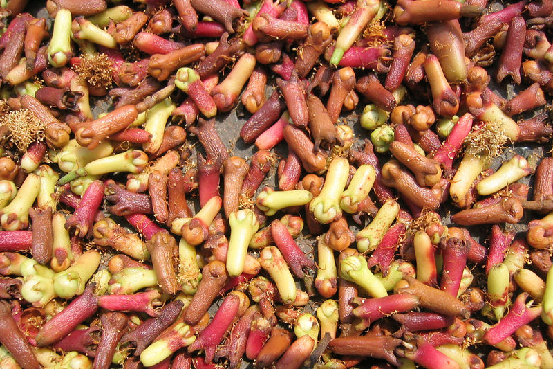 Soubor:Syzygium aromaticum drying.jpg