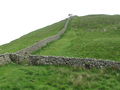 (Blocked up) sheephole in drystone wall - geograph.org.uk - 849028.jpg