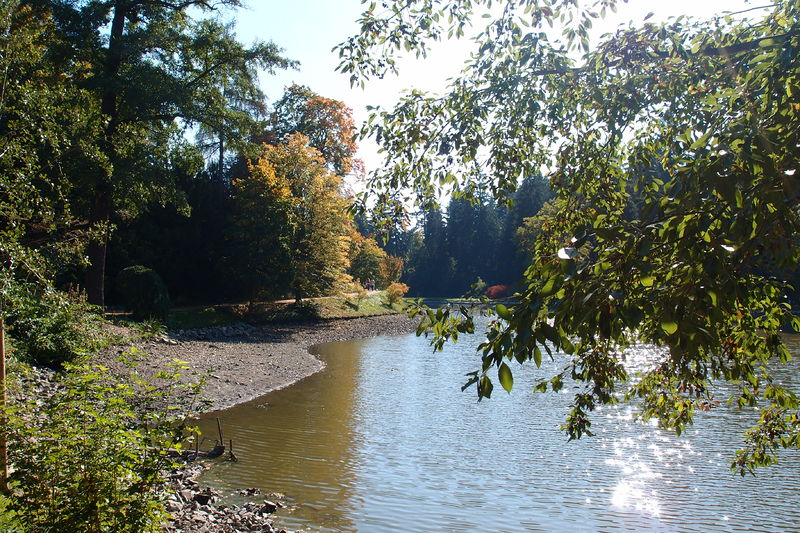 Soubor:Zámecký park Průhonice-September-2017-50.JPG