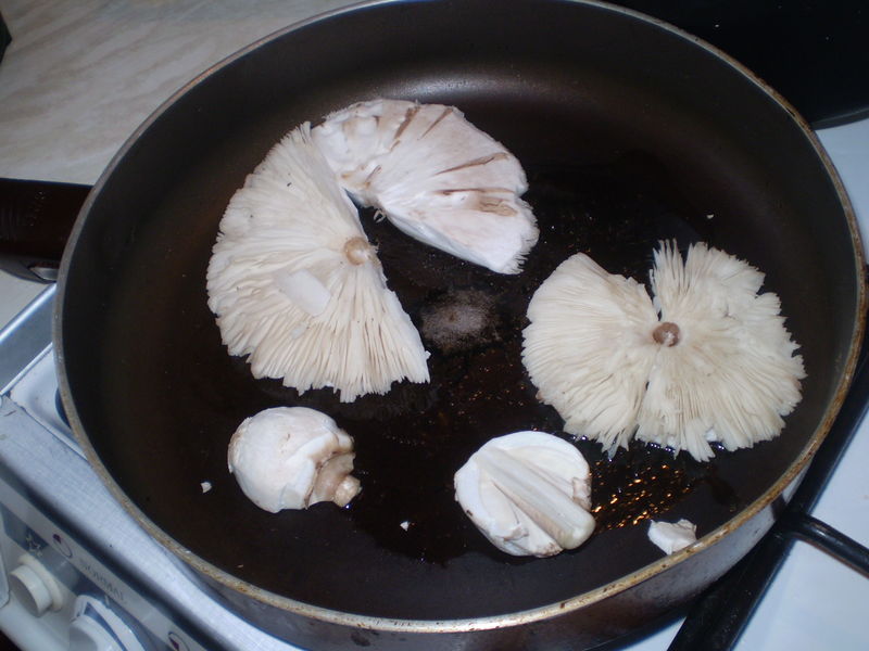 Soubor:Frying Macrolepiota procera.JPG