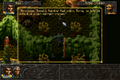 ALBION-DOSBox-025.png