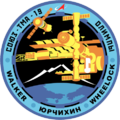 Soyuz-TMA-19-Mission-Patch.png