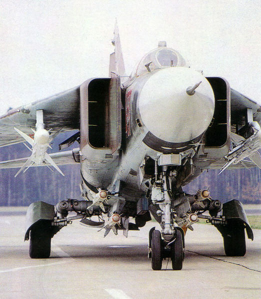 Soubor:MiG-23 NTW 1 94.jpg