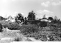 Bundesarchiv B 145 Bild-F000069-3310, Hannover, Erste Bundesgartenschau.jpg