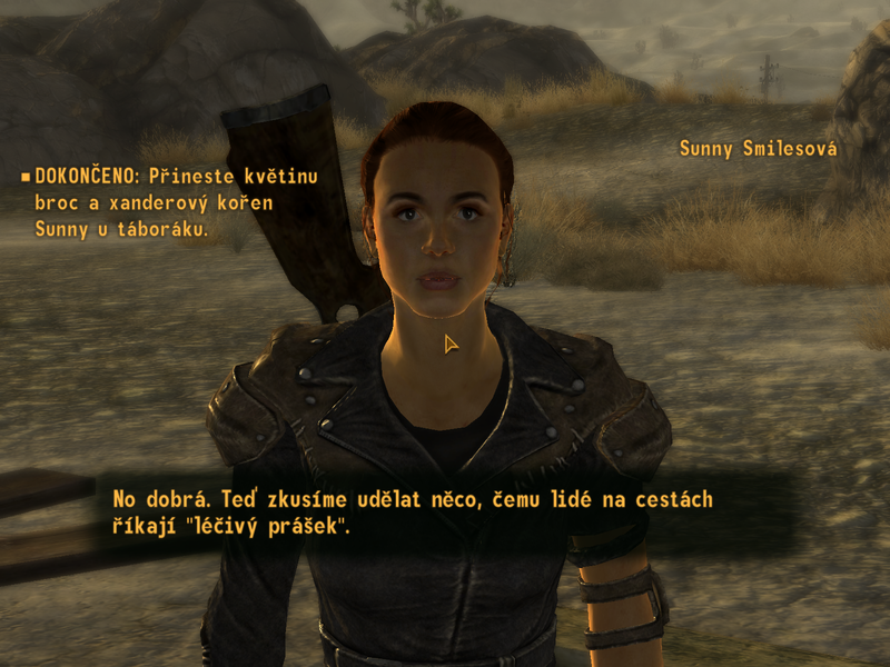 Soubor:Fallout New Vegas Ultimate-2020-042.png