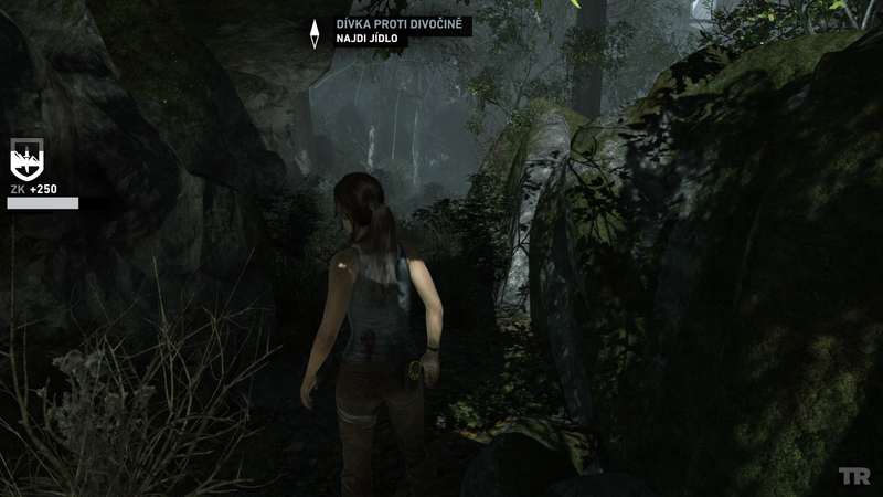 Soubor:Tomb Raider GOTY-2013-008.png