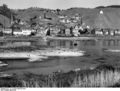 Bundesarchiv B 145 Bild-F001993-0006, Ürzig, Weindorf an der Mosel.jpg