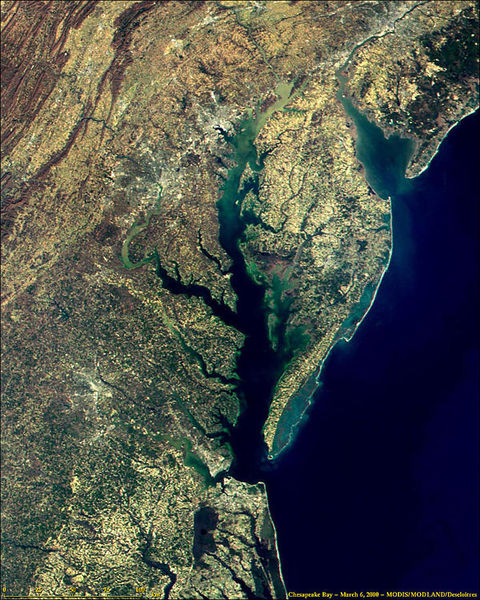 Soubor:Delaware and Chesapeake Bays satellite image.jpg