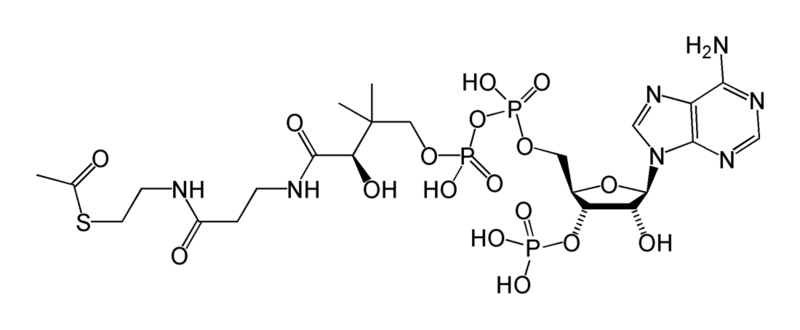 Soubor:Acetyl-CoA-2D.png