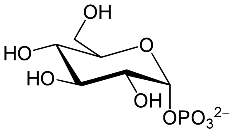 Soubor:Glucose 1-phosphate.png