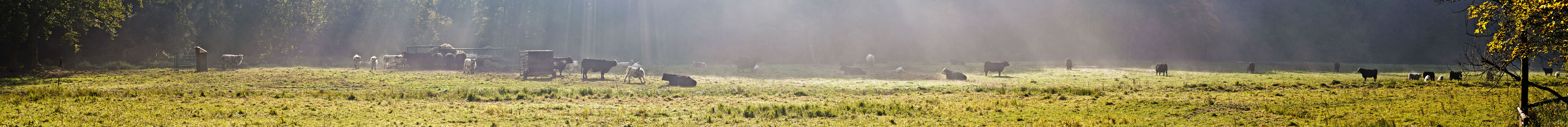 Panorama krajiny