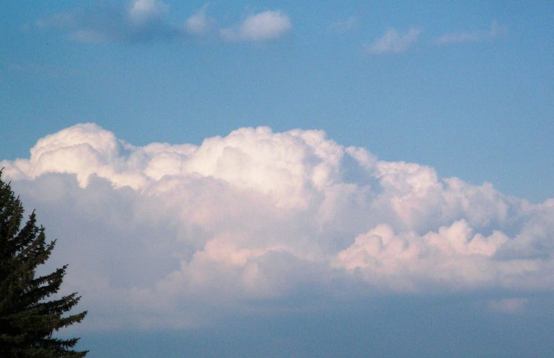 Soubor:Cumulus Congestus.jpg