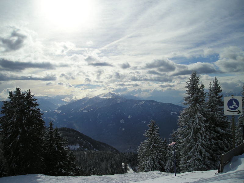 Soubor:Mount Ivigna-Ifinger trees 20060305.jpg