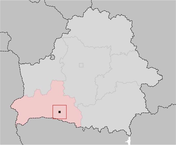 Soubor:Pinsk-map.jpg