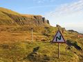 The Quiraing path at Bealach Ollasgairte - geograph.org.uk - 610932.jpg