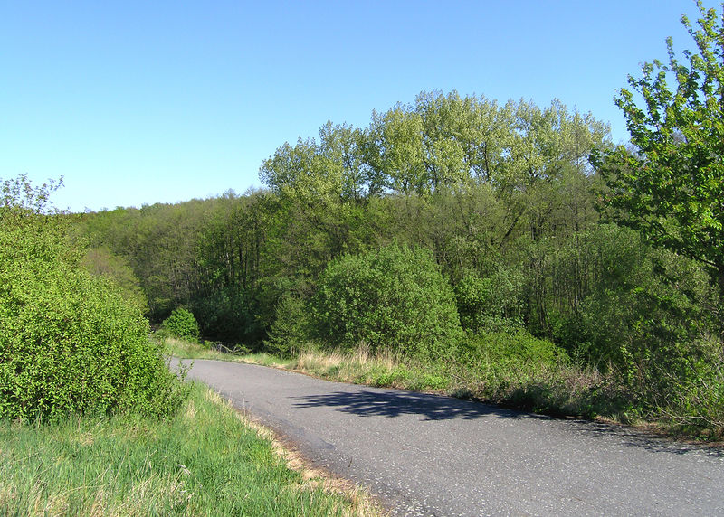 Soubor:Prague Milíčov Hill.jpg