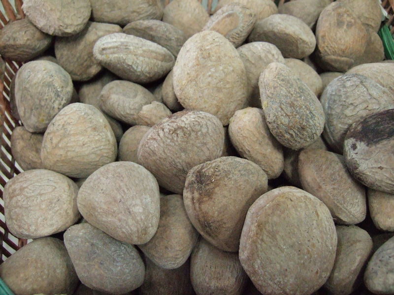 Soubor:Pangium edule seeds.JPG