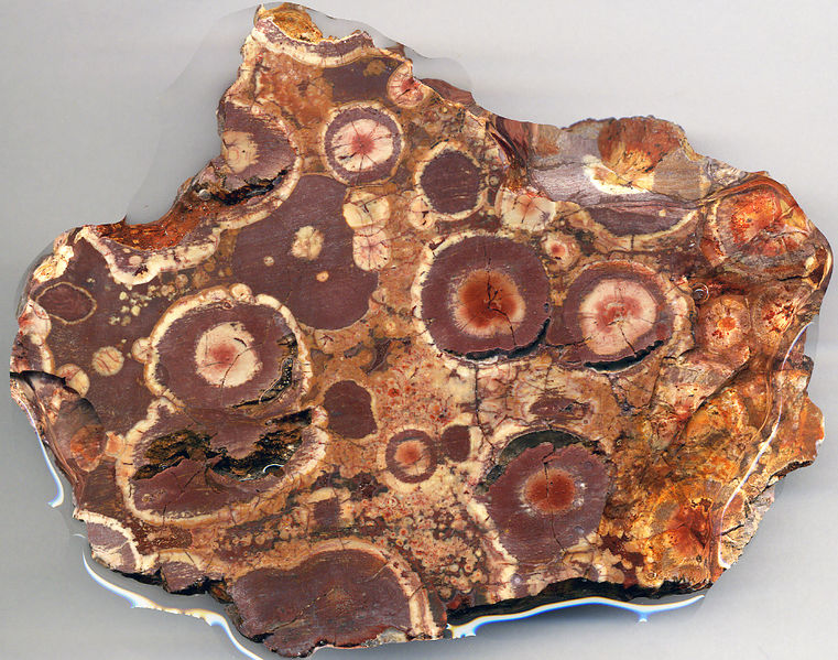 Soubor:Chertified pisolitic bauxite-Arkansas-USA-Flickr.jpg