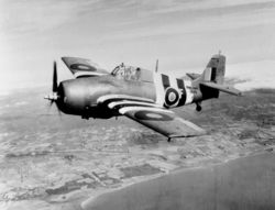 Fleet Air Arm Grumman Wildcat.jpg