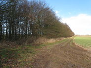 Looking north from the east side of wind break - geograph.org.uk - 1125385.jpg