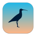 Moka2256-curlew.png