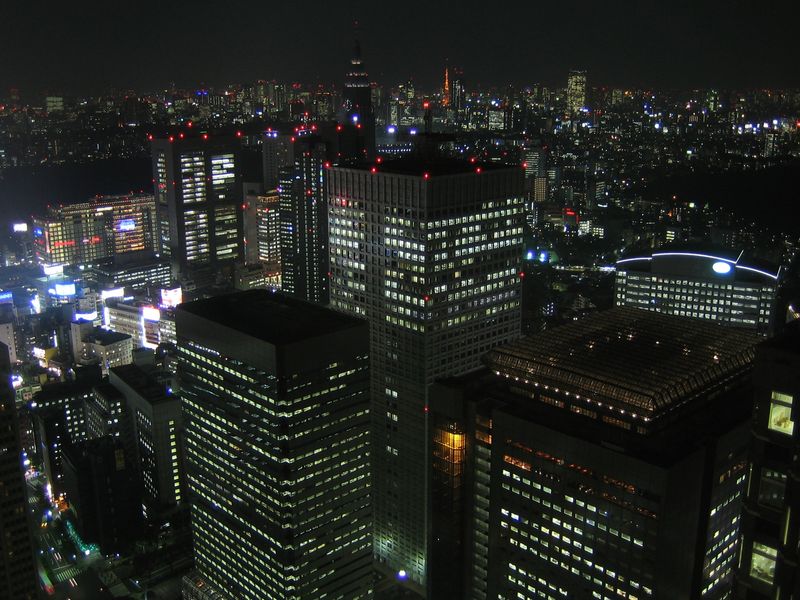 Soubor:Tokyo nightview.jpg