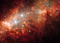 NGC 1569.jpg