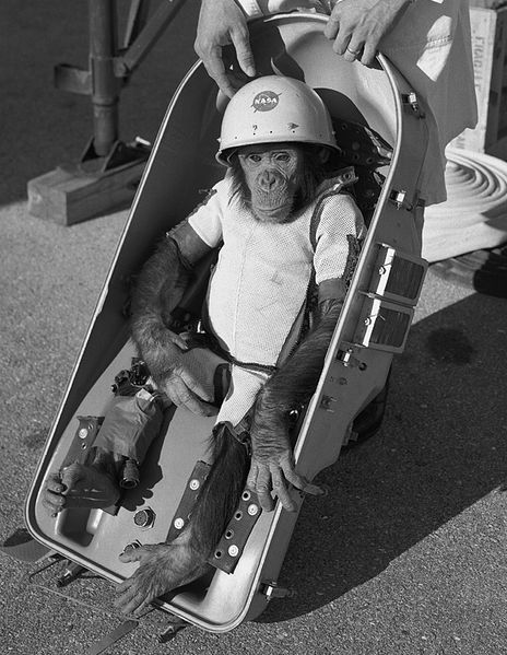 Soubor:Ham the chimp.jpg