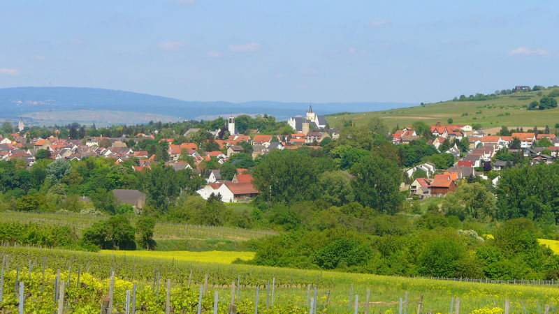 Soubor:Ingelheim2009Spring.JPG