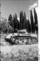 Bundesarchiv Bild 101I-477-2124-25A, Italien, Panzer V (Panther).jpg