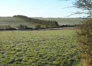 Wind break near Rosebenolte - geograph.org.uk - 731032.jpg