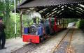 'Jack' on the Groudle Glen Railway - geograph.org.uk - 785661.jpg