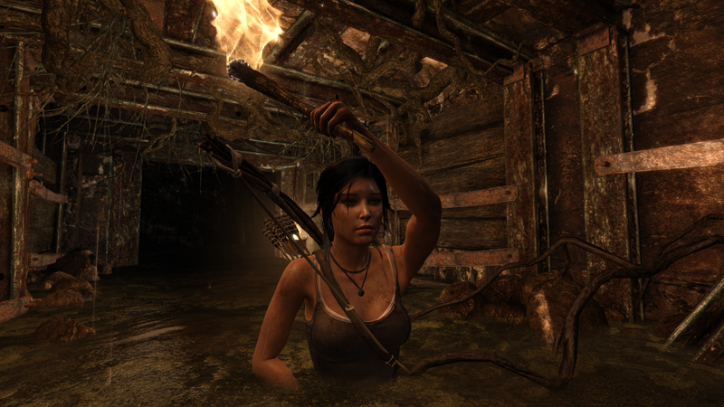 Soubor:Tomb Raider GOTY-2013-021.png