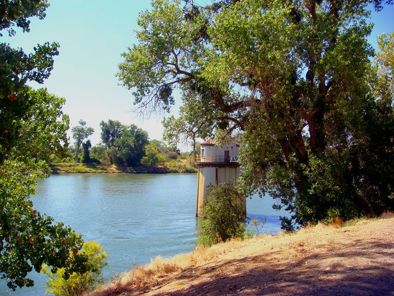 Soubor:Sacramento River.JPG