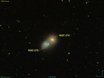 NGC 0274 SDSS.jpg