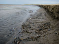 "Cliffs" at outflow of River Burn - geograph.org.uk - 909379.jpg