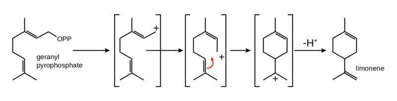 Soubor:LimoneneBiosynthesis.png