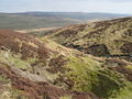 (A fourth) bell pit near the head of Whimsey Cleugh - geograph.org.uk - 1289329.jpg