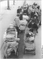 Bundesarchiv Bild 183-52556-0002, Berliner Schüler bei der Altstoffsammlung.jpg