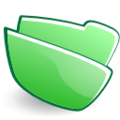 Torchlight folder green.png