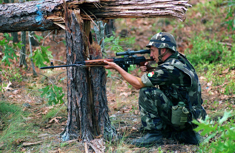 Soubor:Hungarian SVD.JPEG