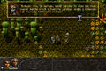 ALBION-DOSBox-038.png