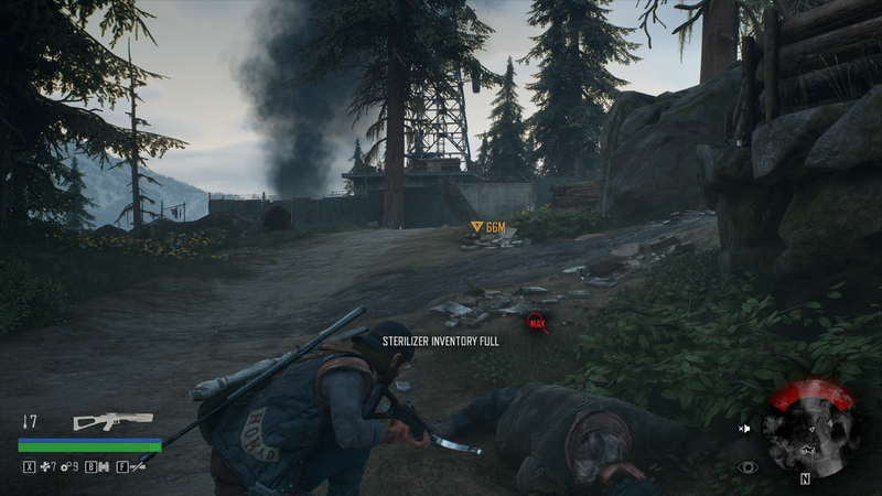 Soubor:DaysGone-2K-2024-21.png