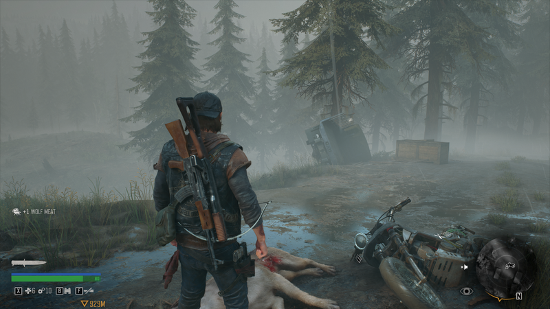 Soubor:DaysGone-2K-2024-39.png